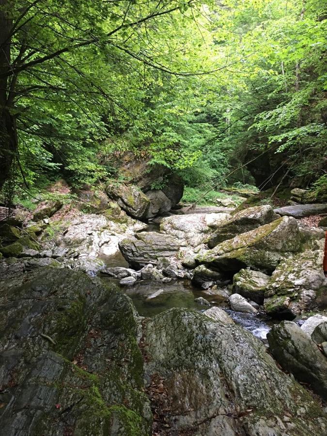 Ferienwohnung Raabklamm Arzberg Zewnętrze zdjęcie