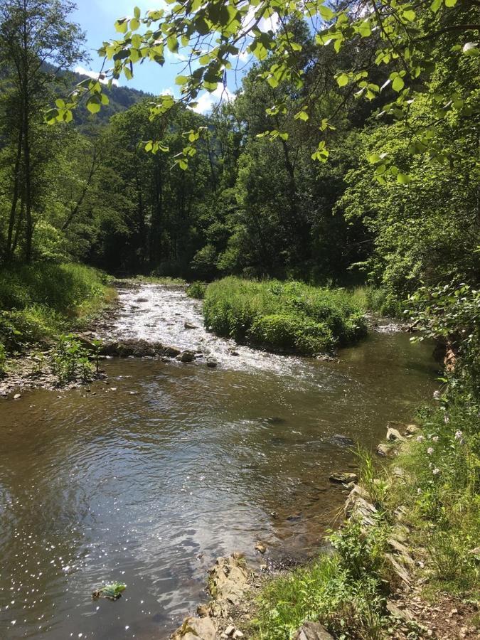 Ferienwohnung Raabklamm Arzberg Zewnętrze zdjęcie